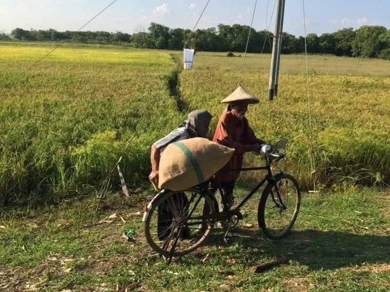 Dalam usaha meringankan beban pesawah, kerajaan turut mengekalkan insentif pembajakan pada kadar RM300 sehektar, 