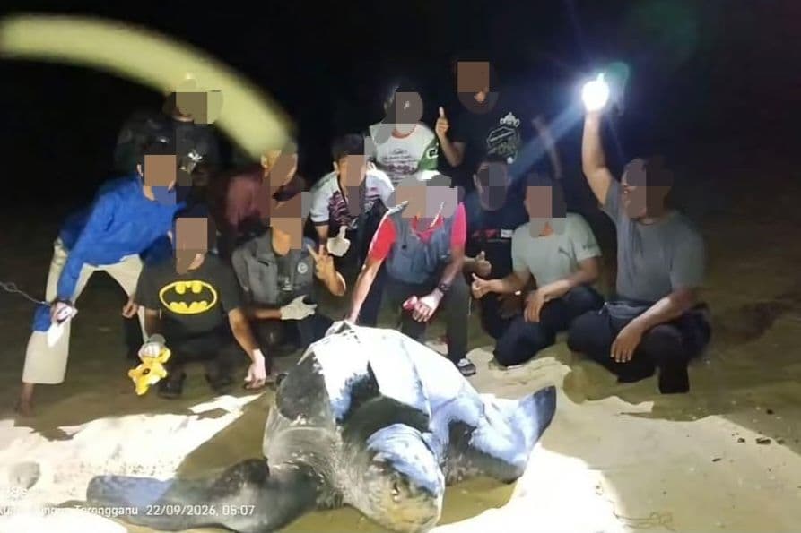 Netizen meluahkan kebimbangan selepas melihat penyu belimbing berkenaan dikerumuni ramai